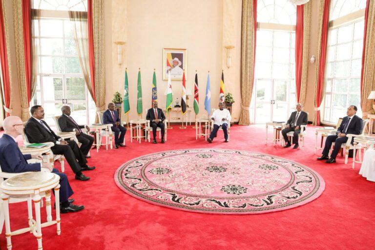 IGAD calls for urgent support to stabilise Somalia