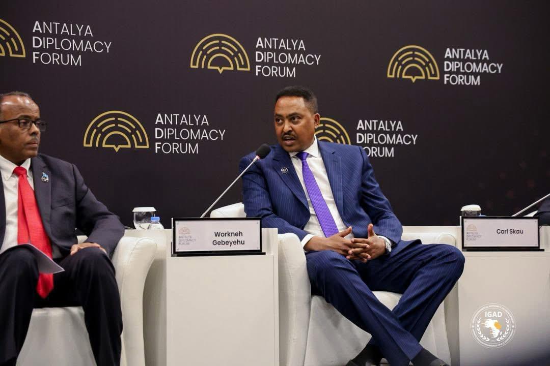 Workneh reaffirms commitment to peace at Antalya Diplomacy Forum