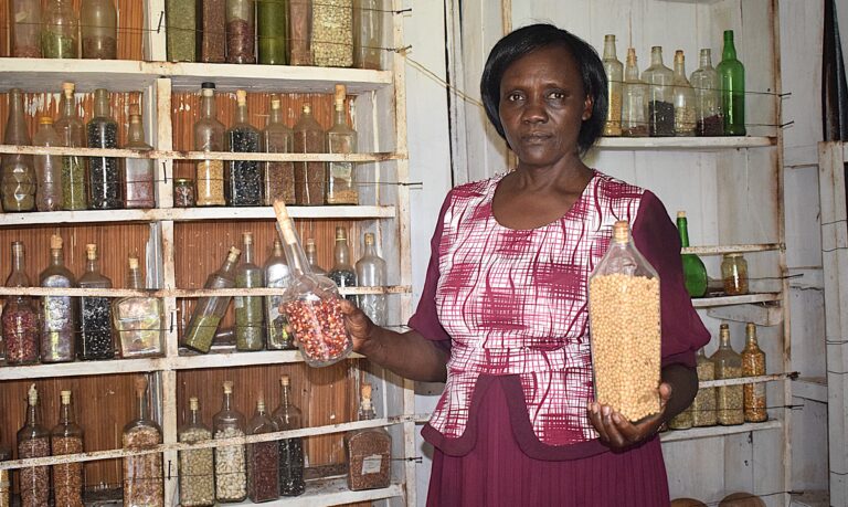 Climate resilience: The inspiring story of Salina Chepsat’s solar-powered farm