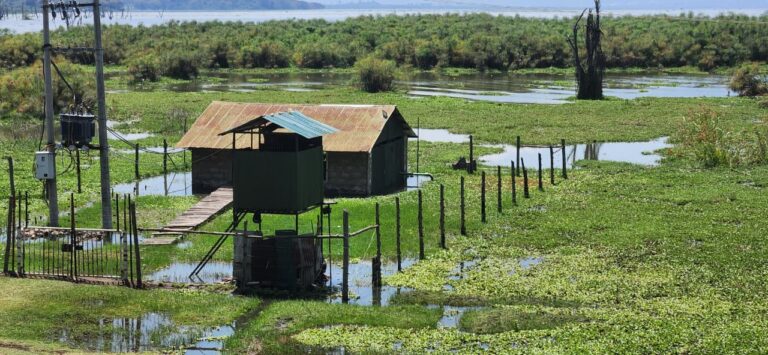 IMG-20250910-WA0004-1