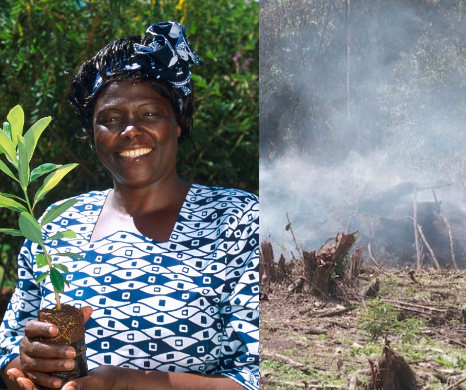 White Simple Creative Quote Facebook Post (2)