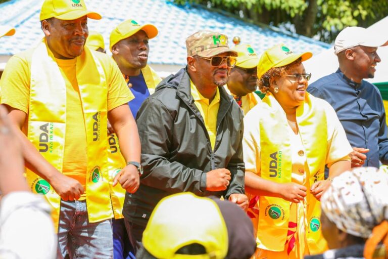 UDA’s gamble to revive lost support in Mt Kenya