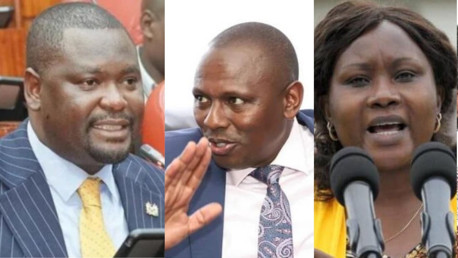 Inside Ruto’s strategy to divide Mt Kenya into three political zones
