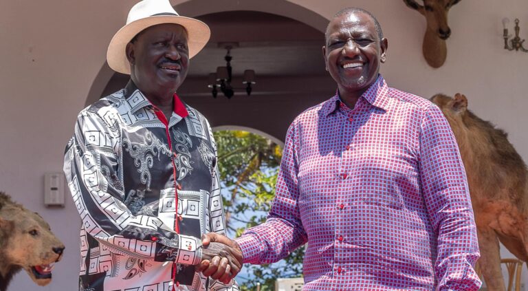 Support for Ruto government rises despite economic woes – TIFA