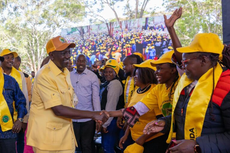 Ruto sets stage for 2027 re-election bid with UDA meetings