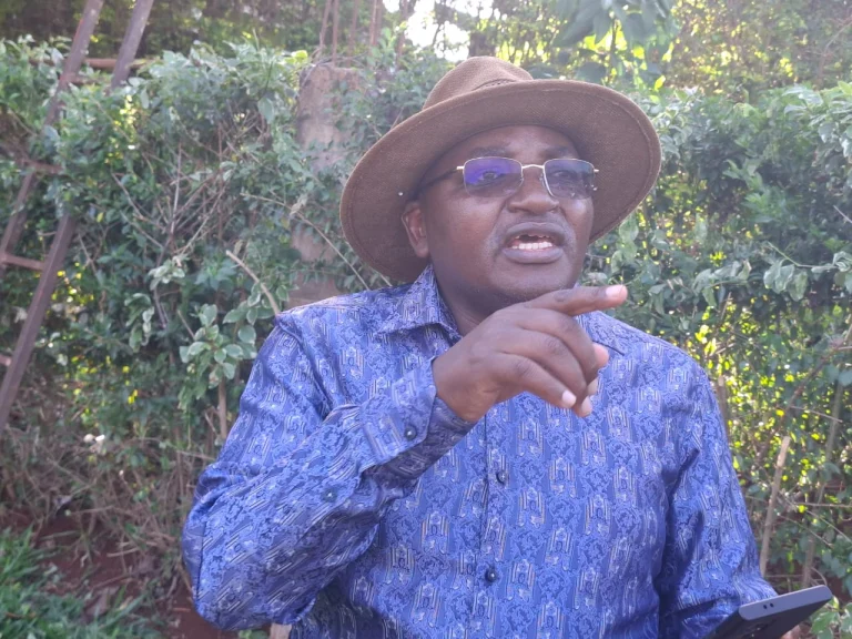 Koimburi dumps Gachagua for Ruto, terms DCP “thuggish”