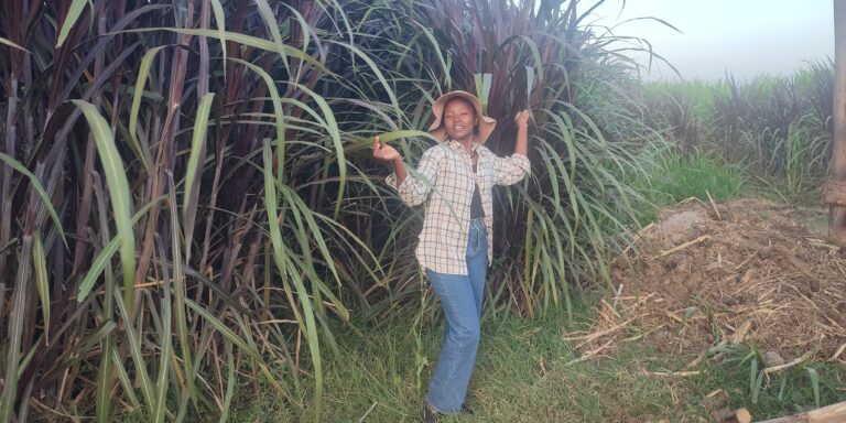 Young farmer thrives growing Australian Red Napier