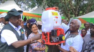 Cotton farming gains momentum in Lamu County