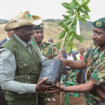 Gov’t: Kenya has planted 1.8 billion trees under Ruto’s greening plan