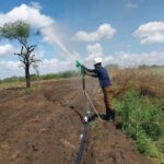 Smart irrigation gives Kenyan farmers hope against climate change