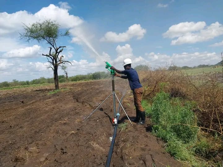 Smart irrigation gives Kenyan farmers hope against climate change