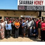 Beekeeping opens new doors for Kenyan communities