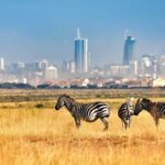 KWS accused of blocking citizens from court-ordered Nairobi National Park visit