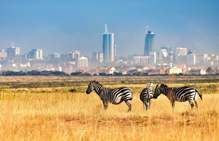 KWS accused of blocking citizens from court-ordered Nairobi National Park visit