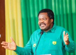 Tanzania Vice President Nchimbi resigns