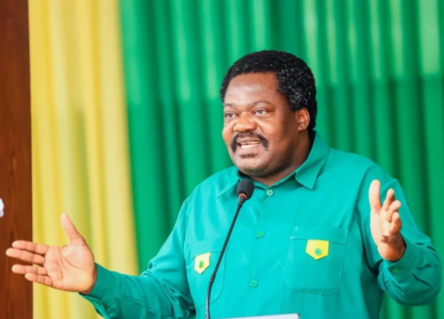 Tanzania Vice President Nchimbi resigns