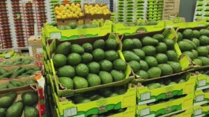 East Africa horticulture sector to tackle trade bottlenecks in Nairobi