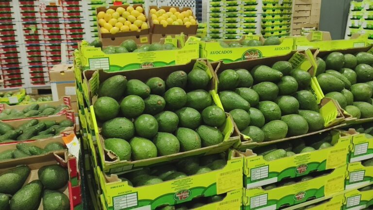 East Africa horticulture sector to tackle trade bottlenecks in Nairobi
