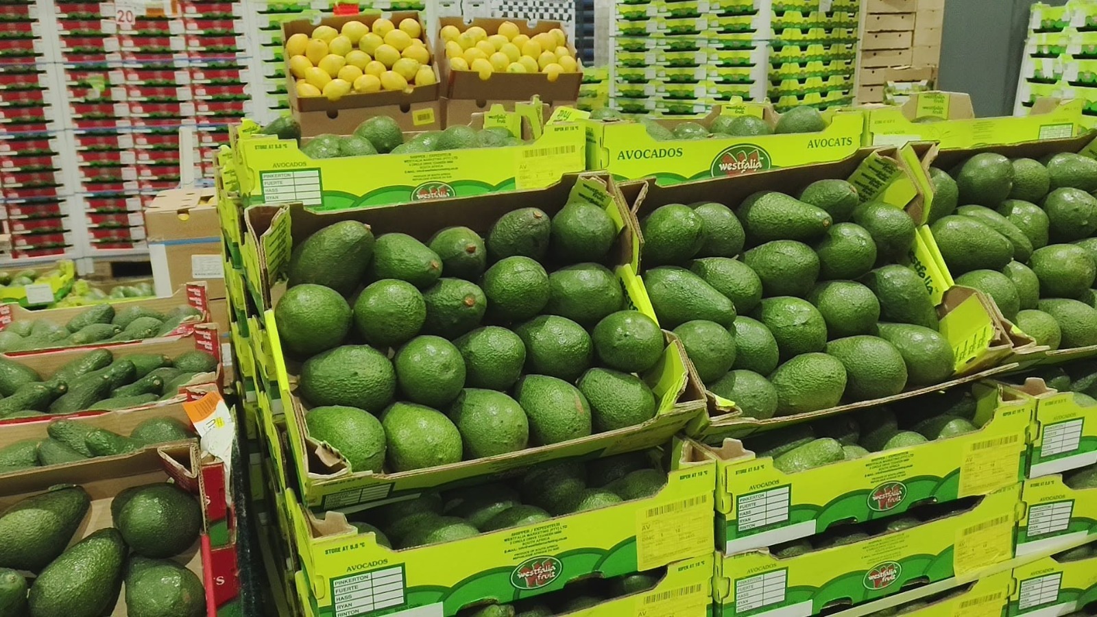 East Africa horticulture sector to tackle trade bottlenecks in Nairobi