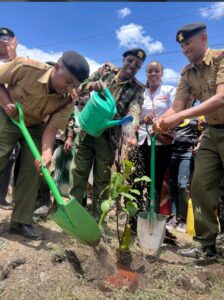 Makadara steps up climate fight with 4,000 trees