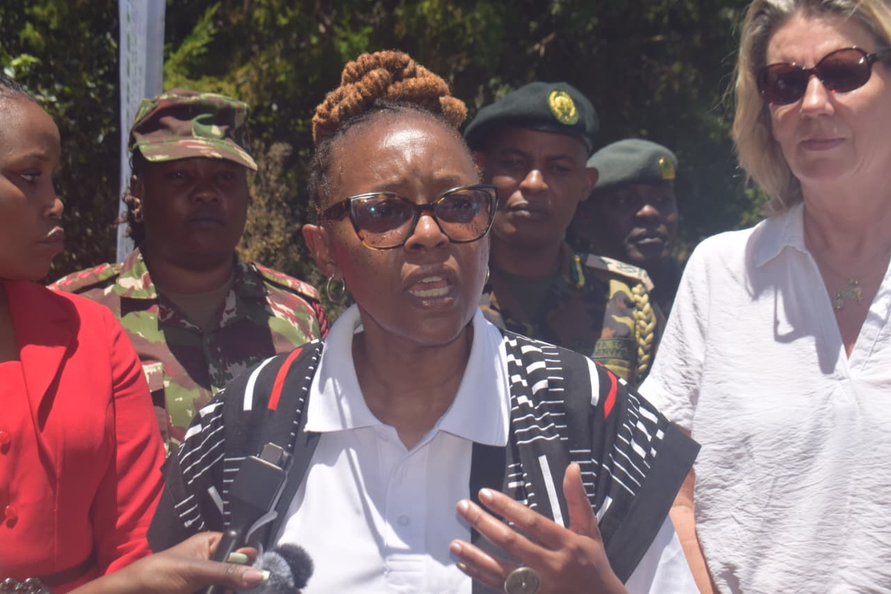 Greenbelt hands over 68ha restored Dundori Forest to KFS