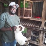 How Black Soldier Flies are helping farmers cut animal feed costs
